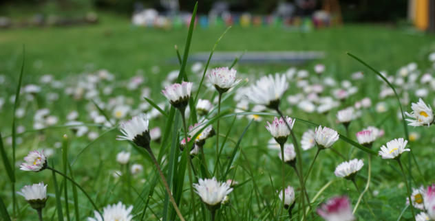 Mitarbeitergespräche